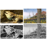 Jmin-image based color-texture segmentation using watershed and hierarchical clustering
