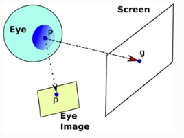 Screen-Light Decomposition Framework for Point-of-Gaze Estimation Using a Single Uncalibrated Camera and Multiple Light Sources